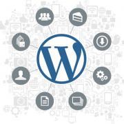 wordpress-graphic Web Design Hobbyist